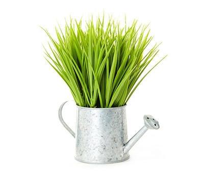 Grass in Metal Watering Can