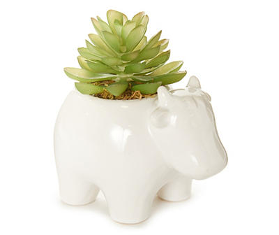 Succulent in White Cow Ceramic Pot