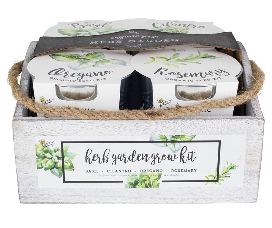 Buzzy White 4Pot Herb Garden Grow Kit Big Lots