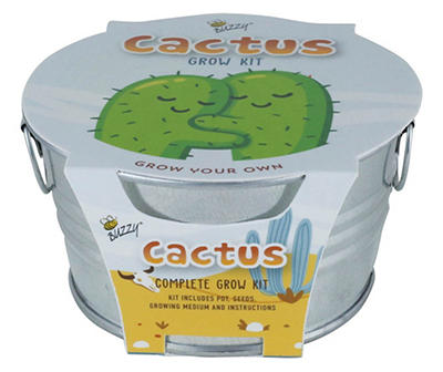 Mini Cactus & Silver Basin Grow Kit