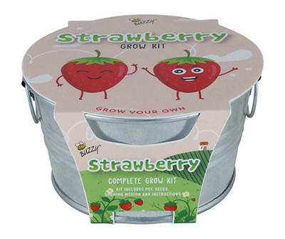 Mini Strawberry & Silver Basin Grow Kit