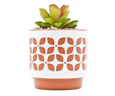 Succulent in Orange Trellis Raised Ceramic Pot