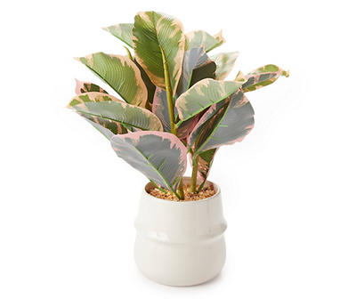 Green Artificial Fittonia Plant With White Ceramic Pot