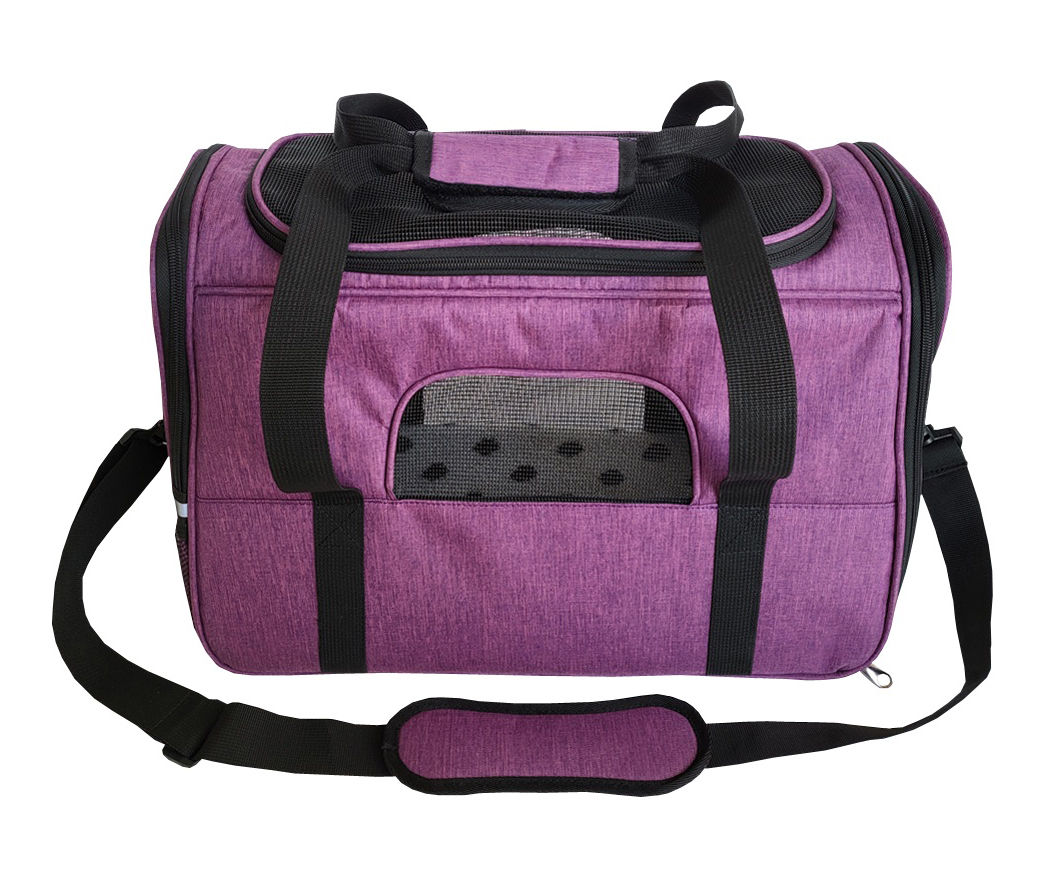 Cat carrier big on sale lots