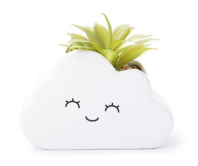Green Succulent Plant With White Smiling Cloud Ceramic Pot