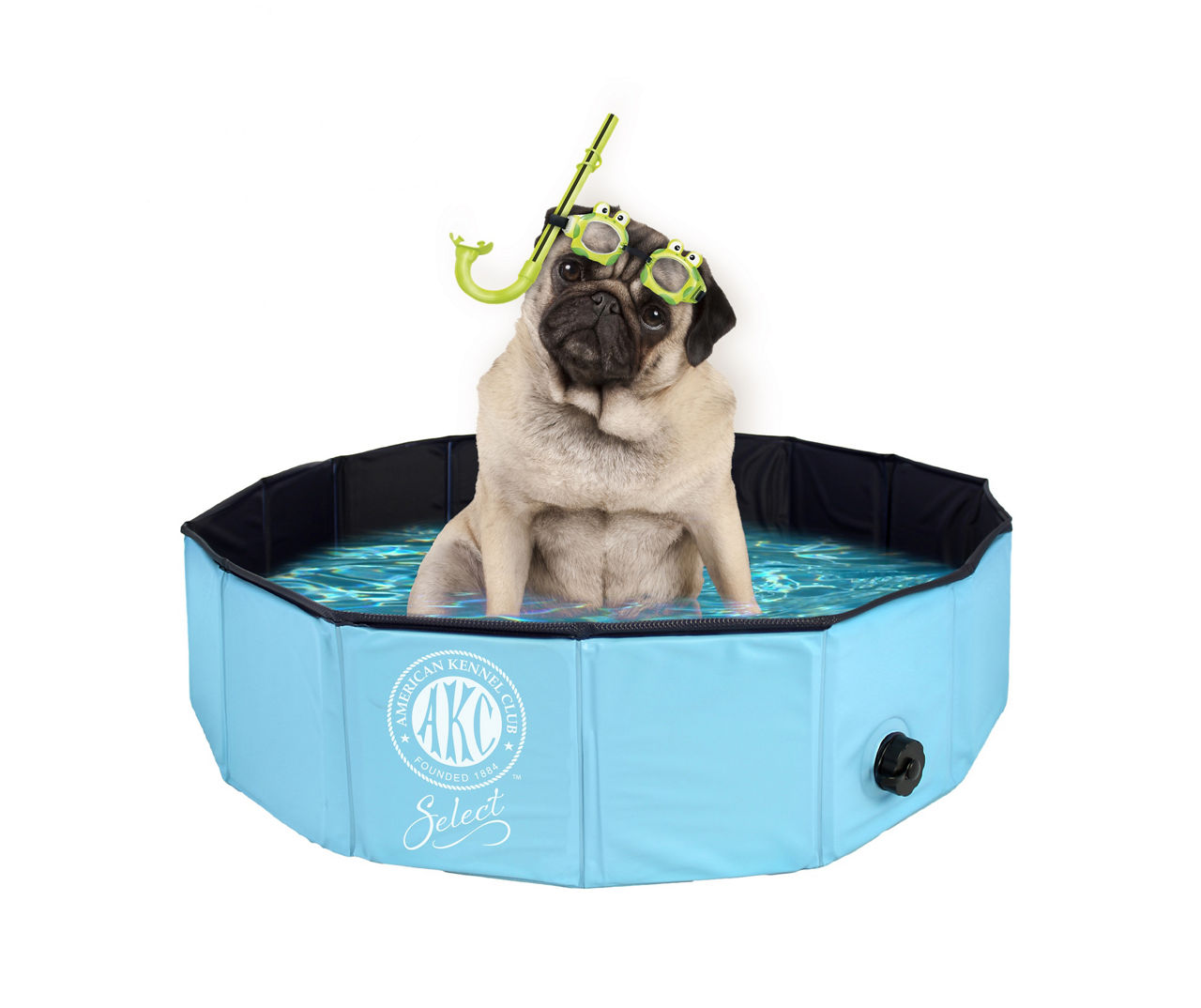 AKC Blue Dog Pool | Big Lots