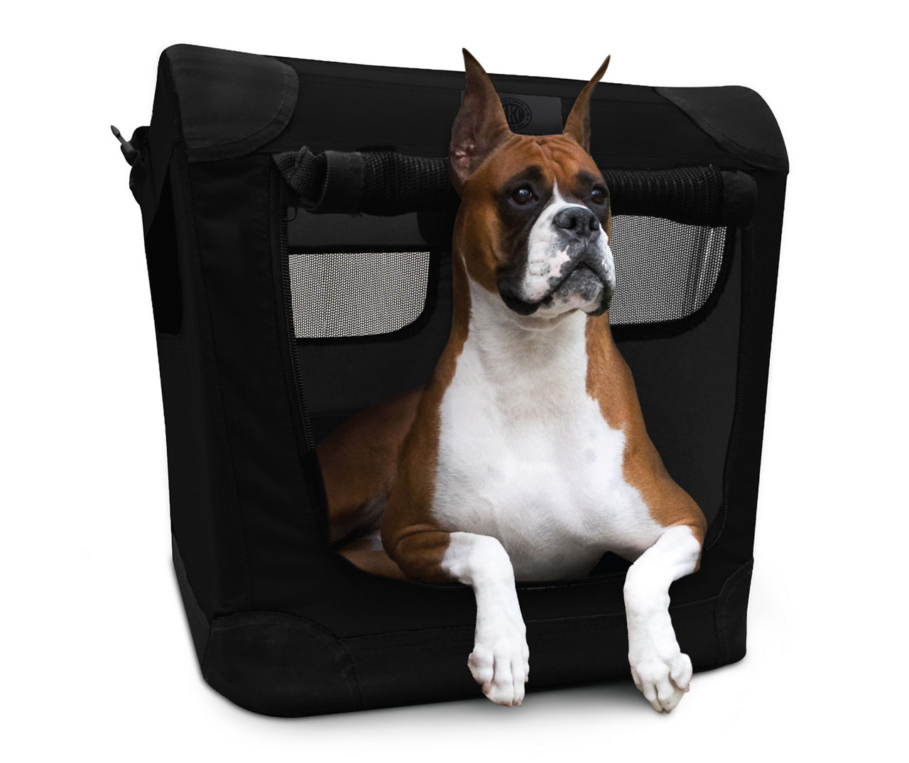 Big lots 2025 dog kennel