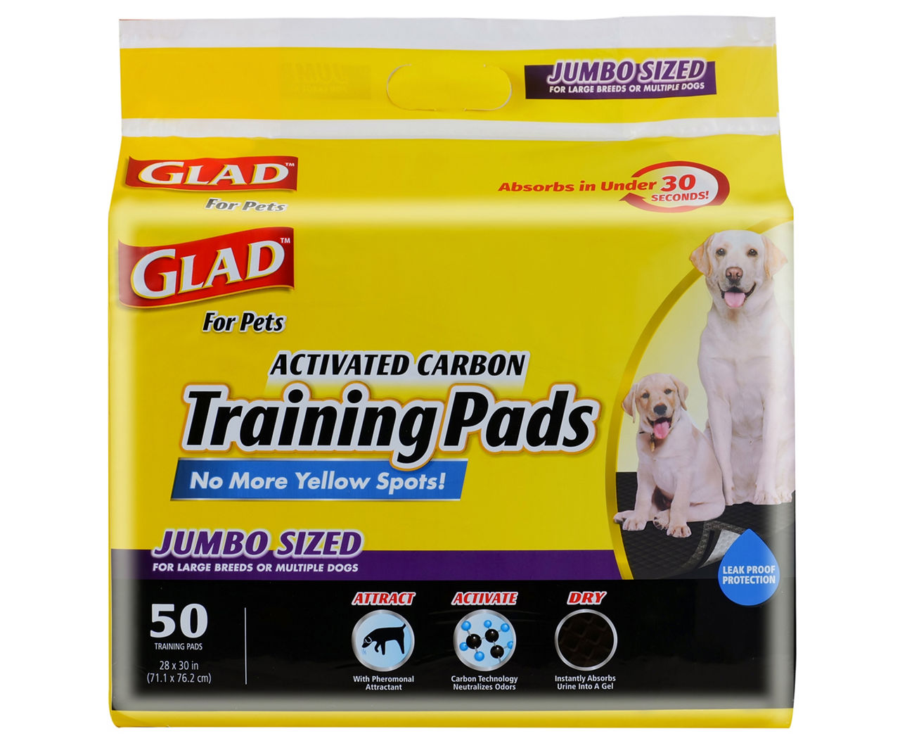 how-can-i-attract-my-dog-to-pee