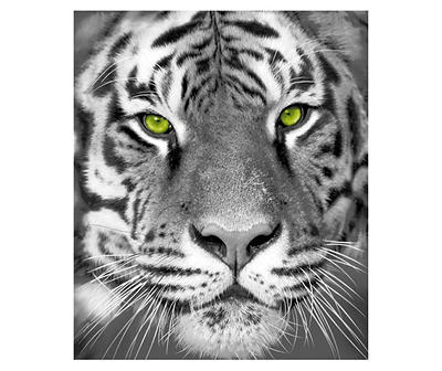 Raschel Gray White Tiger Throw, (50