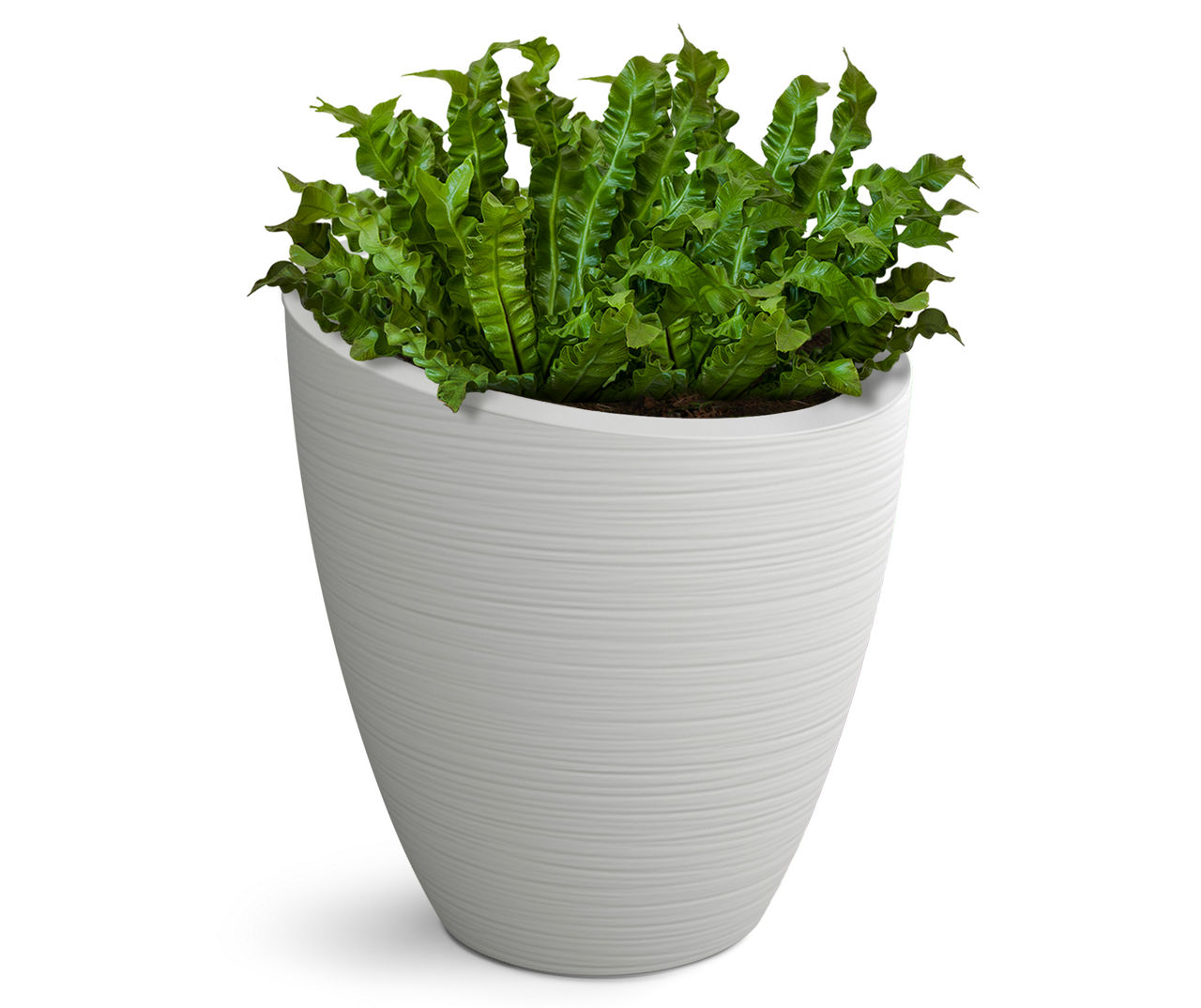 Mayne Inc. 30" Modesto White Plastic Planter Big Lots