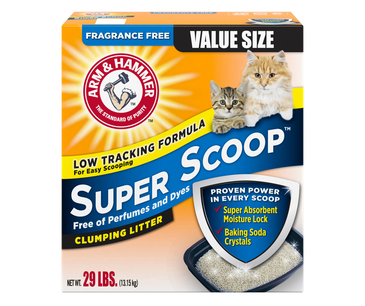 Cat litter shop big lots