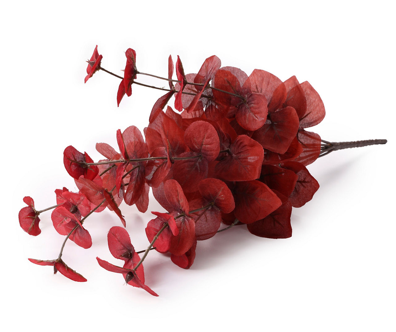 Red Eucalyptus Bush