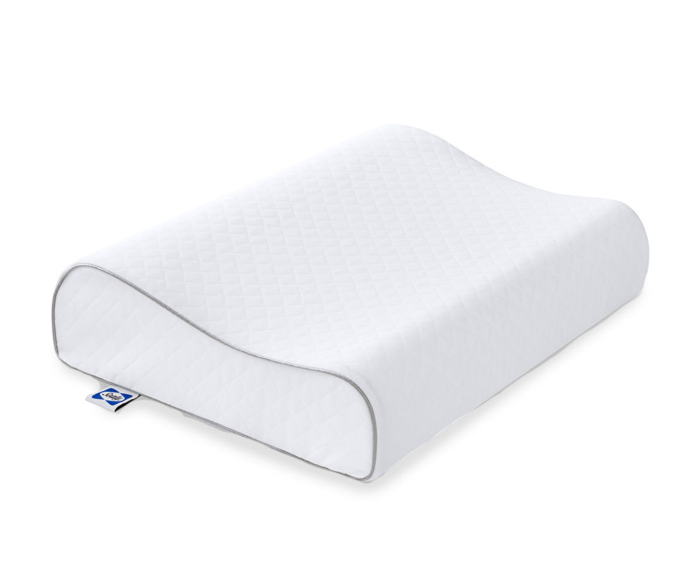 Big lots memory foam hot sale pillow