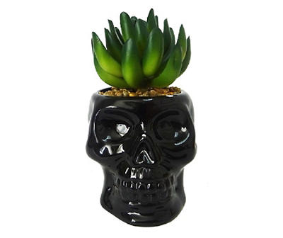 Succulent in Ceramic Skull Planter