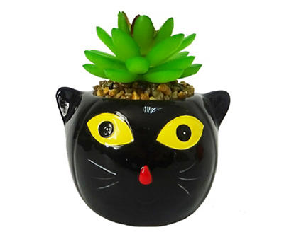 Succulent in Ceramic Cat Planter