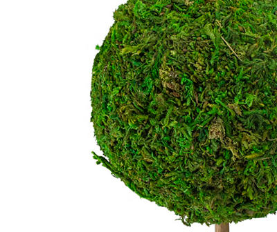 16" Moss Ball Potted Topiary Tree