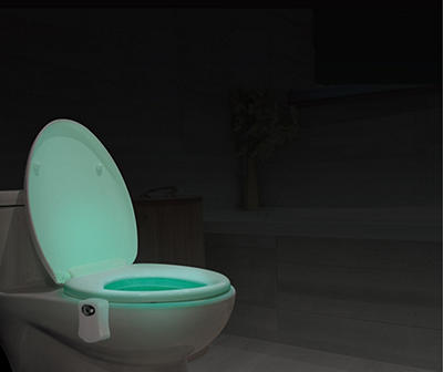 Color Changing LED Toilet Light