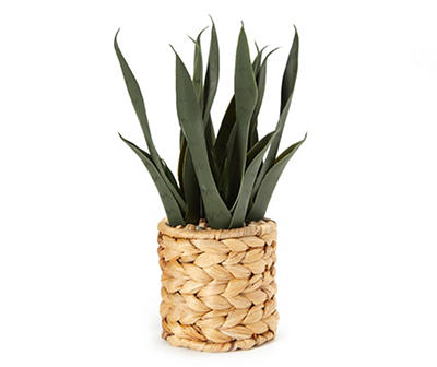 Artificial Snake Plant in Woven Basket