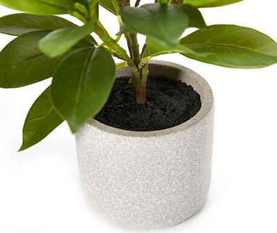 Artificial Plant in Gray Cement Pot
