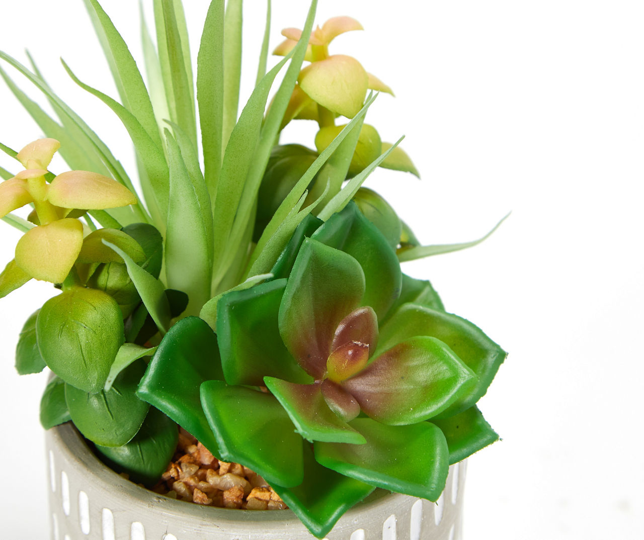 Artificial Succulent Arrangement in Gray Carved Cement Pot
