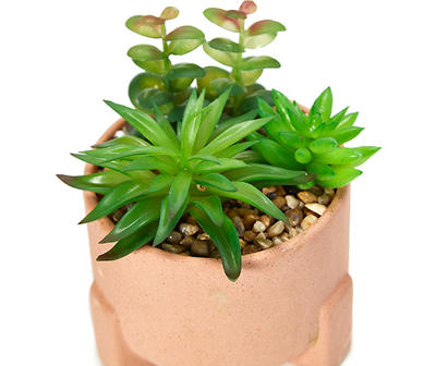 Artificial Succulent in Footed Terra-Cotta Ceramic Pot