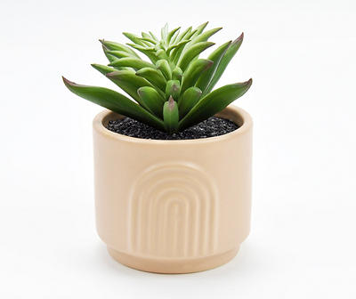 Artificial Succulent in Coral Arch Ceramic Pot