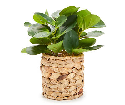 Green Leaf Artificial Arrangement in Brown Woven Pot