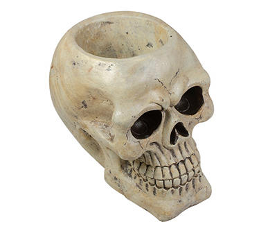 Ivory Skull Tabletop Décor