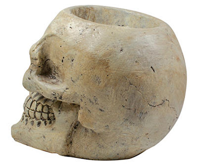 Ivory Skull Tabletop Décor