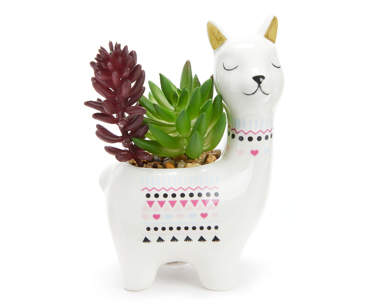 Valentine Succulent Arrangement in Llama Ceramic Planter