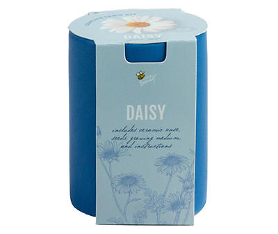Daisy Grow Kit with Ceramic Pot