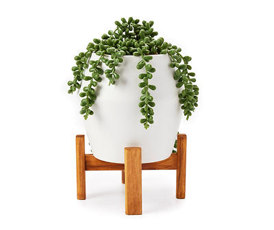 Green Artificial String of Pearls Succlent Arrangement With White Pot & Wood Base