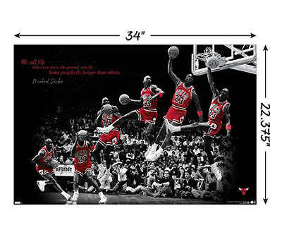 "We All Fly" Chicago Bulls Poster, (22.3" x 34")