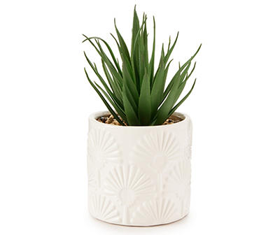 Artificial Succulent in Embossed Shell Ceramic Pot