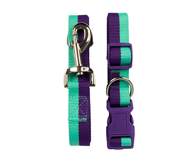 Purple & Teal Dog Collar & Leash Set