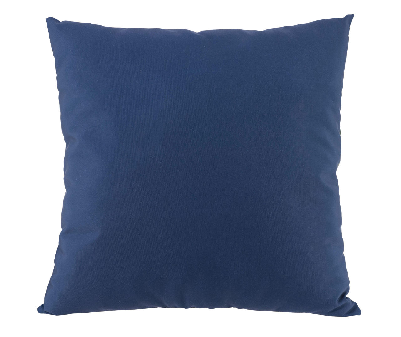 Big lots 2024 throw pillows