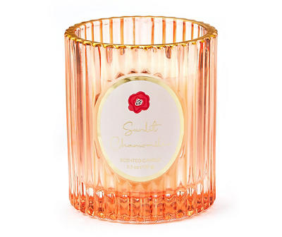 Blossom Sunlit Chamomile Light Pink Ribbed Jar Candle, 5.5 oz.