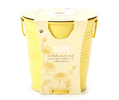 Daisy Grow Kit in Yellow Tin Planter