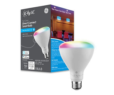 60-Watt Direct Connect LED Indoor Floodlight Smart Bulb