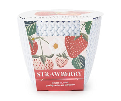 Strawberry Grow Kit With White Woven Plastic Planter