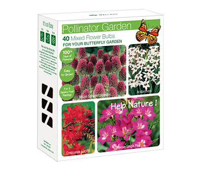 Butterfly Pollinator Mixed Flower Bulbs, 40-Count