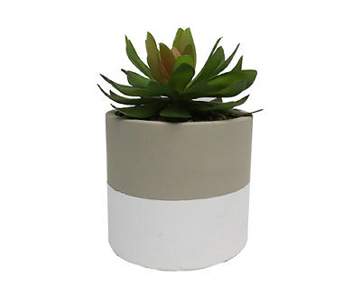 Artificial Succulent in 2-Tone Ceramic Pot