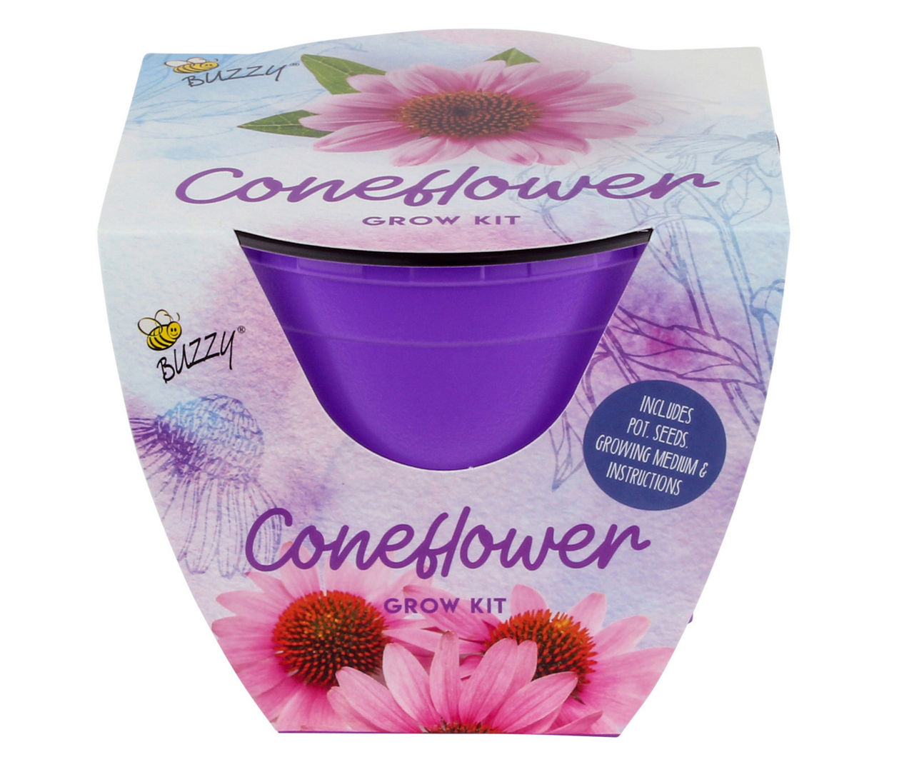 Buzzy Coneflower Grow Kit in Purple Planter Big Lots