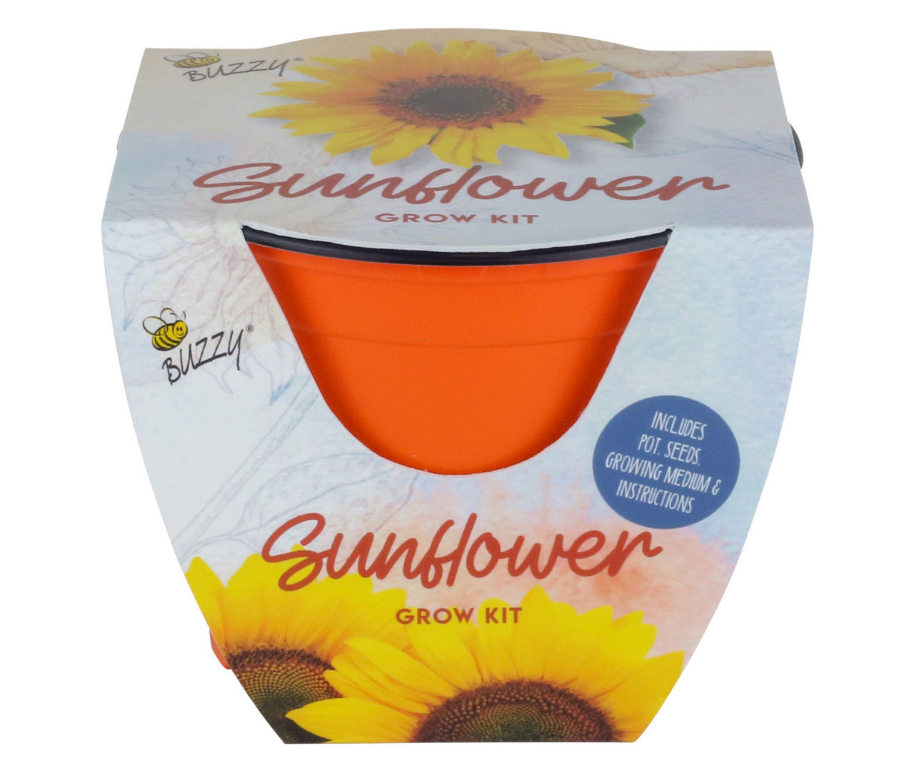 Buzzy Sunflower Grow Kit in Orange Planter Big Lots