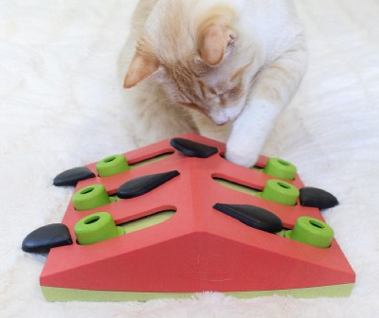 Melon Madness Interactive Cat Treat Puzzle