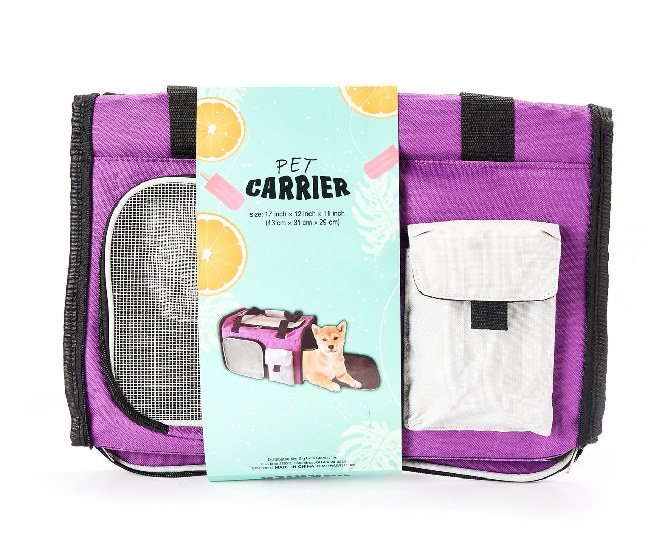 Big lots shop pet carrier