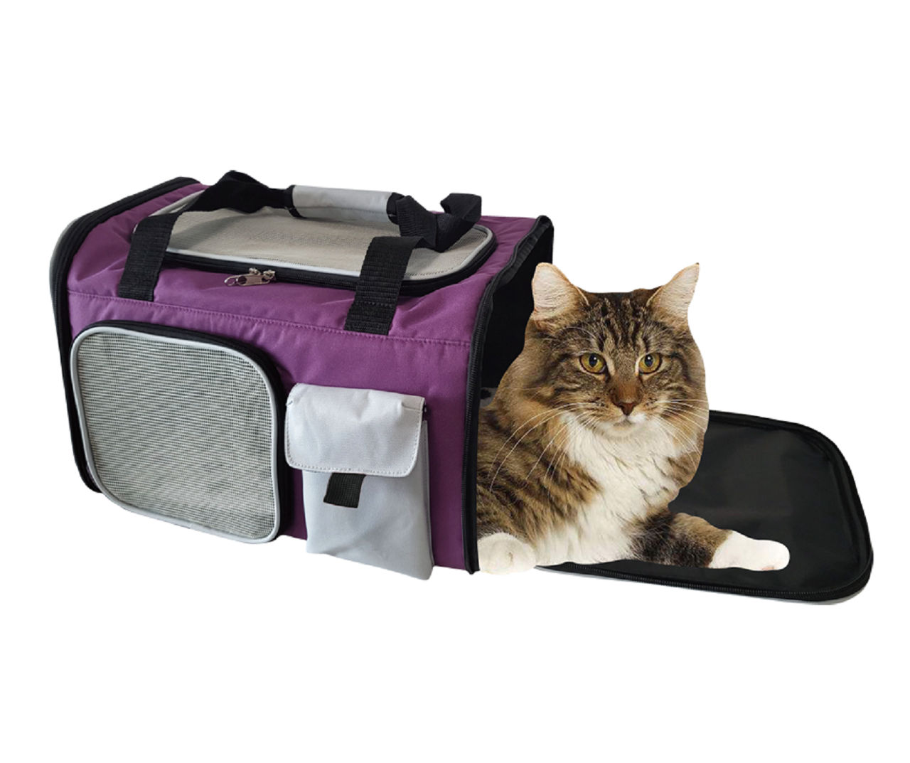 Purple Airline Pet Carrier