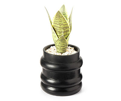 Wild Sedona Artificial Succulent in Black Ribbed Cement Pot