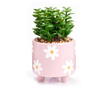 Euphoric Expression Green Artificial Succulent With Pink Floral Pot