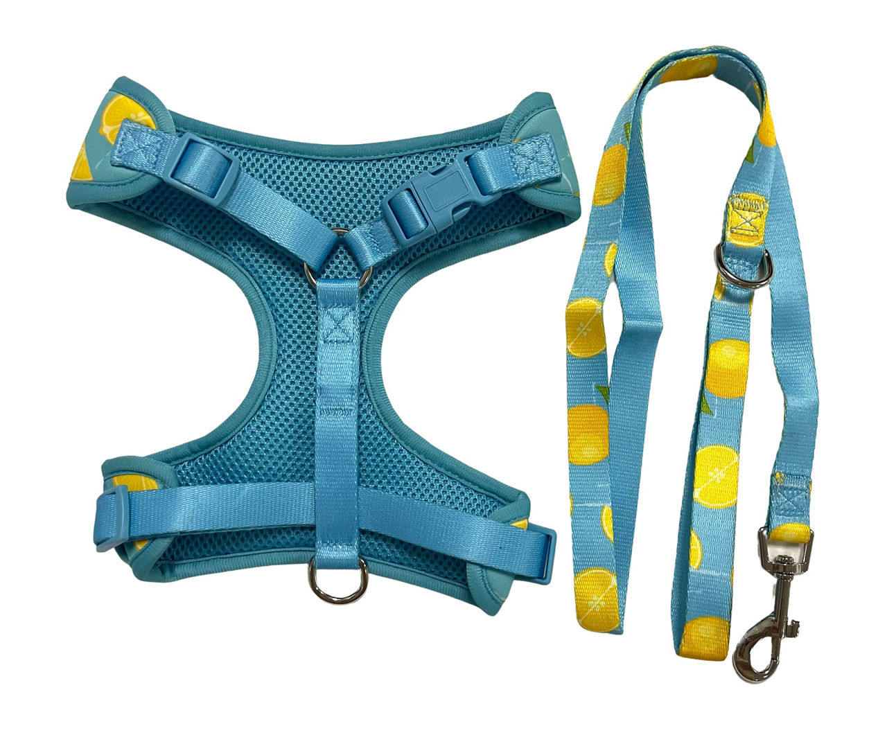 Big lots dog harness best sale